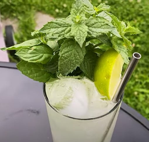 Southside fizz kokteyli
